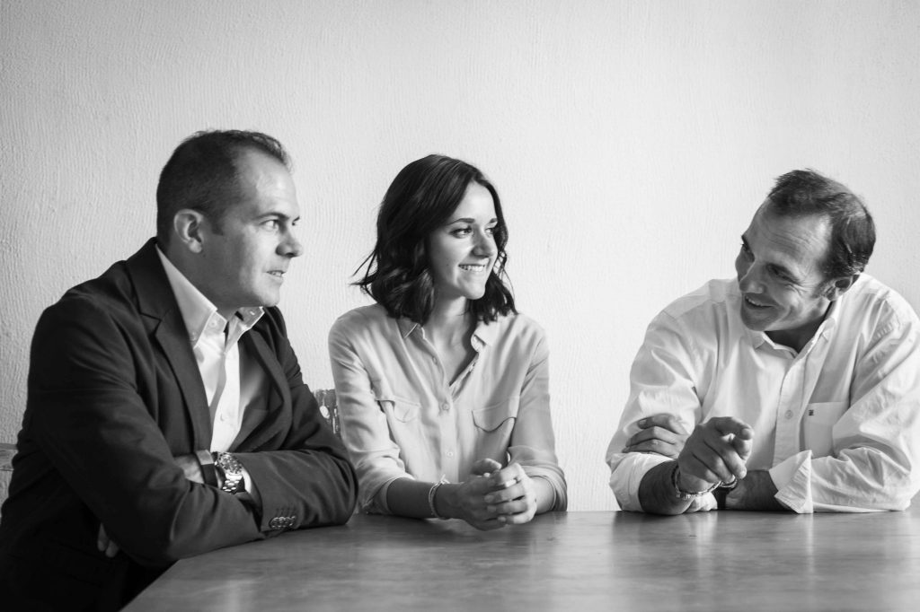 api asesores propiedad intelectual